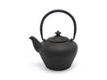 Cast Iron teapot giftset Chengdu