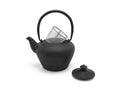 Cast Iron teapot giftset Chengdu