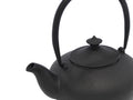 Cast Iron teapot giftset Chengdu